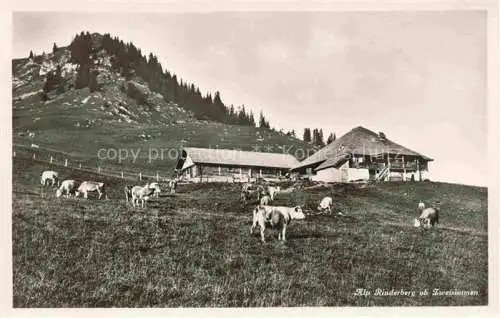 AK / Ansichtskarte Zweisimmen BE Alp Rinderberg Almvieh Bergbauernhof