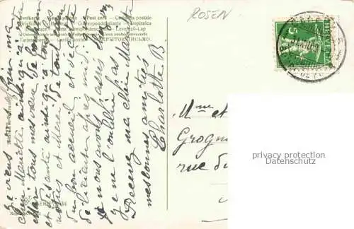 AK / Ansichtskarte Rosen Roses Rosas-- Rot 