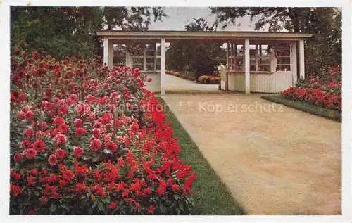 AK / Ansichtskarte Liebichau Schlesien Lubiechow PL Fuerstliche Gaertnerei Eingang zum Blumenparadies Liebichau