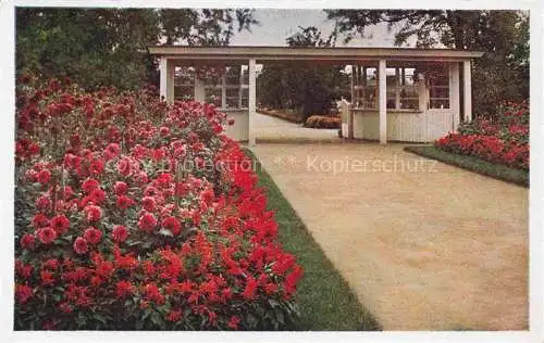 AK / Ansichtskarte Liebichau Schlesien Lubiechow PL Fuerstliche Gaertnerei Eingang zum Blumenparadies Liebichau