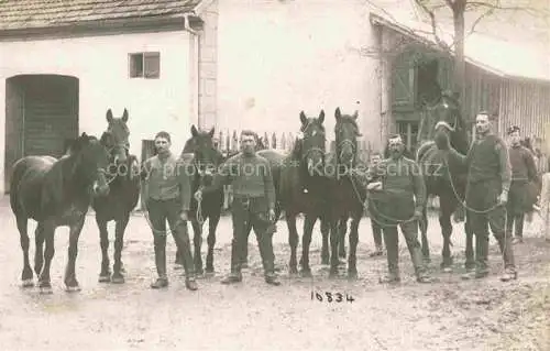 AK / Ansichtskarte PFERDE Horses Cheval 