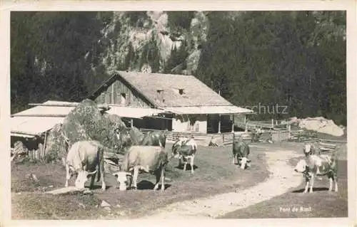 AK / Ansichtskarte Villars VD Bergbauernhof Almvieh