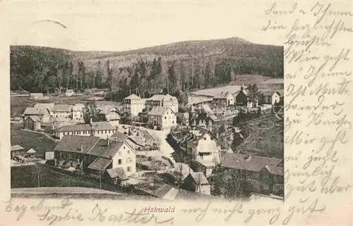 AK / Ansichtskarte Hohwald Bad Selestat-Erstein 67 Bas-Rhin Panorama