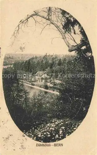 AK / Ansichtskarte BERN BE Panorama Daehlhoelzli