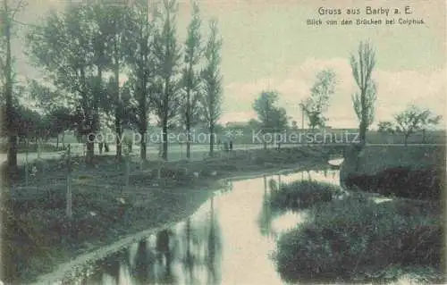 AK / Ansichtskarte Barby Elbe Blick von den Bruecken bei Colphus