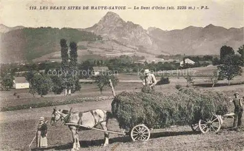 AK / Ansichtskarte La Dent d Oche 2221m Bernex Thonon-les-Bains 74 Haute-Savoie Heuernte