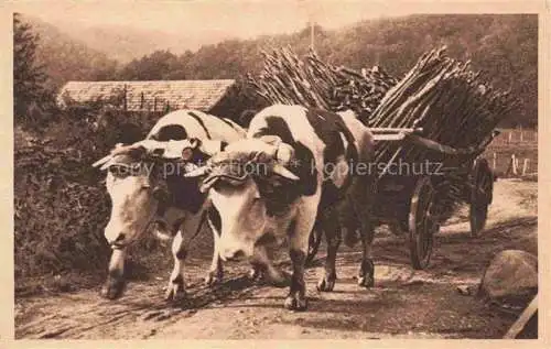 AK / Ansichtskarte BELFORT 90 Saint Nicolas Attelage de Montagne