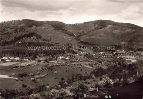 AK / Ansichtskarte Sehringen Badenweiler BW Gasthaus zum gruenen Baum