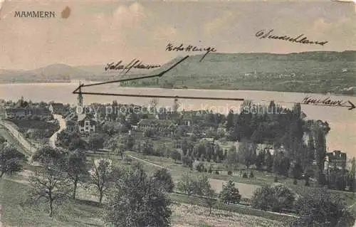 AK / Ansichtskarte Mammern Untersee Steckborn TG Panorama