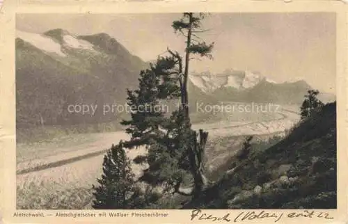 AK / Ansichtskarte Aletschwald Rhone VS Aletschgletscher mit Walliser Fiescherhoerner
