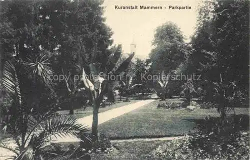 AK / Ansichtskarte Mammern Untersee Steckborn TG Kuranstalt Mammern Parkpartie