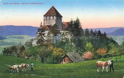 AK / Ansichtskarte STEIN  AM RHEIN SH Schloss Hohenklingen