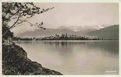 AK / Ansichtskarte Rapperswil BE Panorama