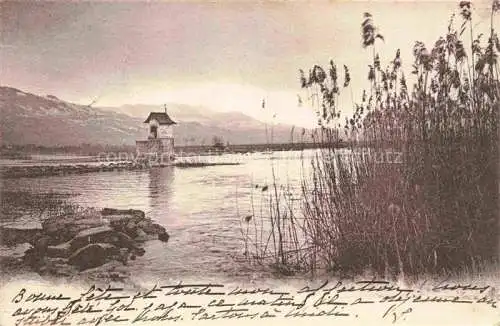 AK / Ansichtskarte Zuerichsee ZH Panorama