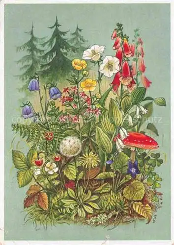 AK / Ansichtskarte LAGA Landesgartenschau Reichsgartenschau Stuttgart Waldblumen 
