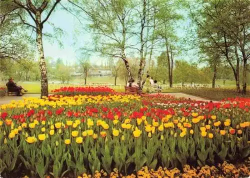 AK / Ansichtskarte BUGA Bundesgartenschau Dortmund Tulpen Felder alte Birken 