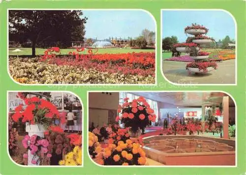 AK / Ansichtskarte IGA Gartenbauaustellung International Erfurt DDR Blumen 