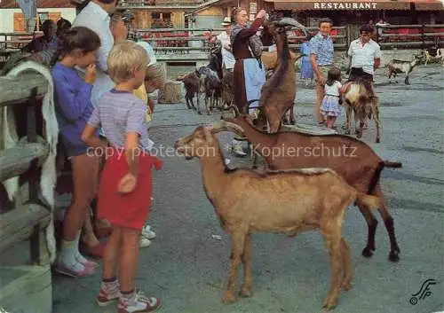 AK / Ansichtskarte Ziege Goat Chevre-- Montriond les Lindarets