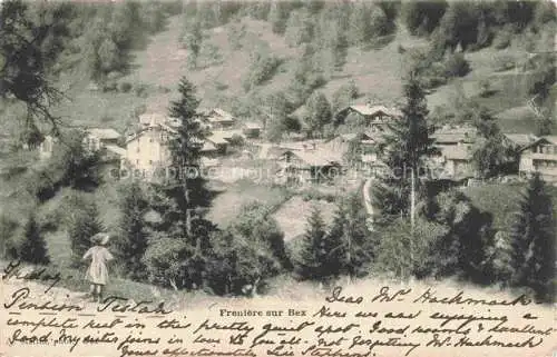 AK / Ansichtskarte Frenieres-sur-Bex VD Panorama