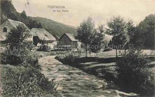 AK / Ansichtskarte Todtmoos Partie an der Wehra