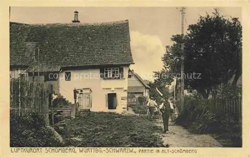 AK / Ansichtskarte Schoemberg  Schwarzwald Calw BW Partie in Alt-Schoemberg Luftkurort