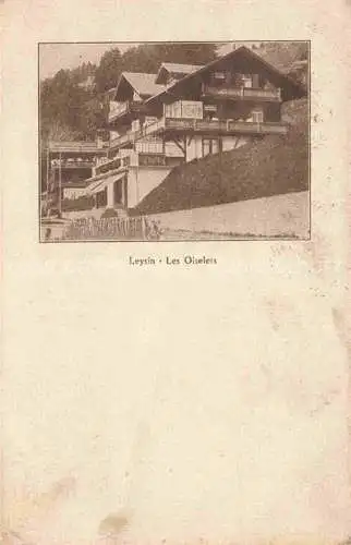 AK / Ansichtskarte Leysin VD Les Oiselets