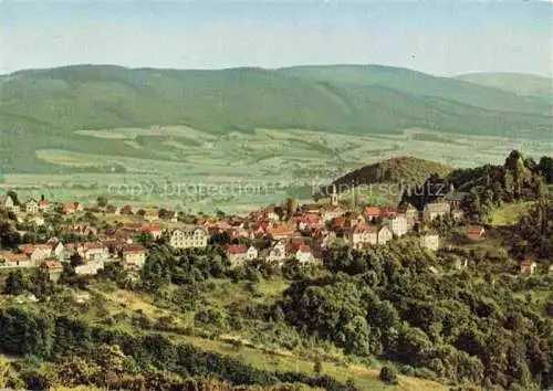 AK / Ansichtskarte Lindenfels Odenwald Panorama Hoehenluftkurort die Perle des Odenwaldes