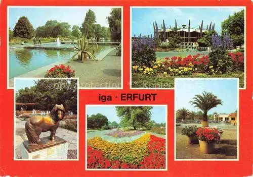 AK / Ansichtskarte IGA Gartenbauaustellung International Erfurt DDR Zoellner Rosen Blumen 