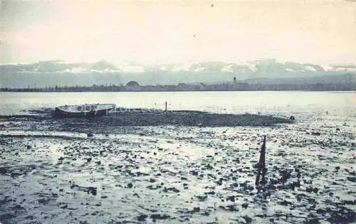 AK / Ansichtskarte Zuerichsee ZH Panorama
