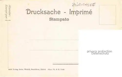 AK / Ansichtskarte Zuerichsee ZH Panorama
