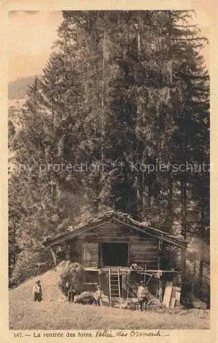 AK / Ansichtskarte Leysin VD La rentree des foins