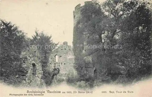 AK / Ansichtskarte Bex-les-Bains AIGLE VD Tour de Duin