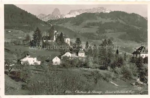 AK / Ansichtskarte Blonay-Saint-Legier Blonay-sur-Vevey VD Chateau de Blonay Jaman et Rochers de Naye