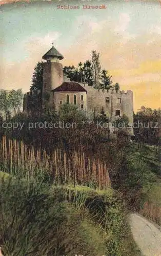 AK / Ansichtskarte Birseck Arlesheim BL Schloss Birseck