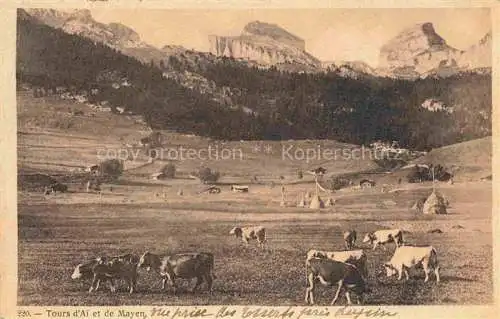 AK / Ansichtskarte Tours d Ai Lac d Ai Leysin VD et de Mayen