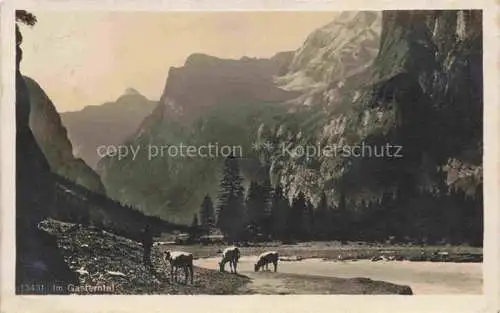 AK / Ansichtskarte SPIEZ Thunersee BE Im Gasterntal
