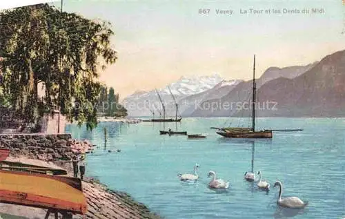 AK / Ansichtskarte VEVEY VD La Tour et les Dents du Midi