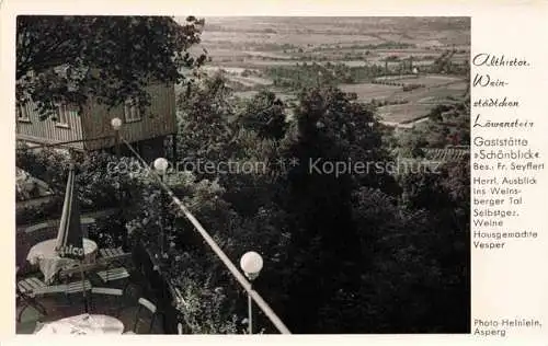 AK / Ansichtskarte Loewenstein Heilbronn BW Gaststaette Schoenblick Panorama