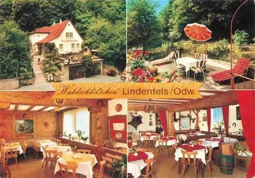 AK / Ansichtskarte Lindenfels Odenwald Restaurant Café Pension Waldschloesschen Terrasse
