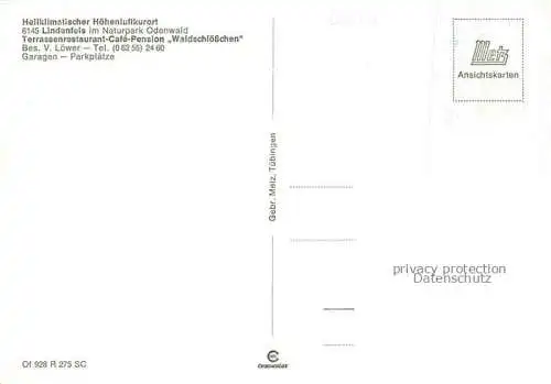 AK / Ansichtskarte Lindenfels Odenwald Restaurant Café Pension Waldschloesschen Terrasse