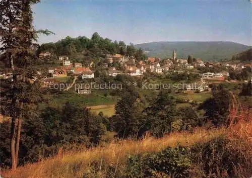 AK / Ansichtskarte Lindenfels Odenwald Panorama Lutkurort Perle des Odenwaldes