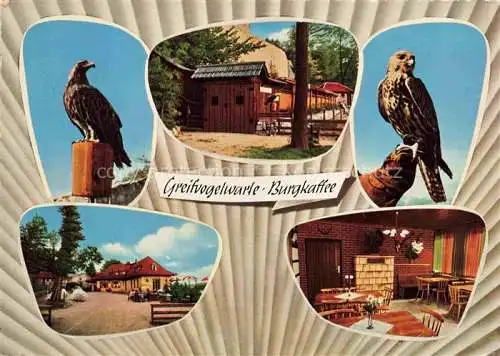 AK / Ansichtskarte Heppenheim Bergstrasse Starkenburg Greifvogelwarte Burgkaffee