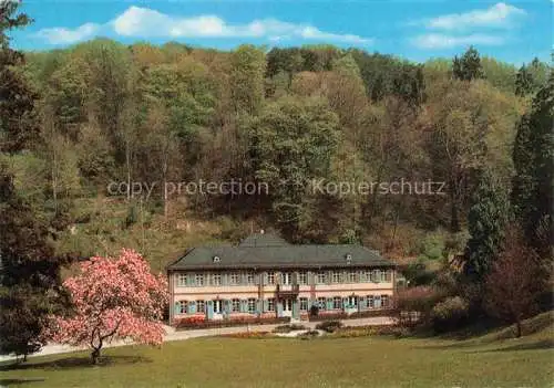 AK / Ansichtskarte Auerbach Bergstrasse Bensheim Hessen Parkhotel Restaurant Herrenhaus