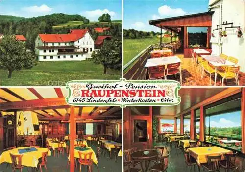 AK / Ansichtskarte Winterkasten Lindenfels Hessen Gasthof Pension Raupenstein Gastraum Terrasse