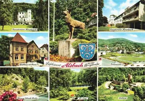 AK / Ansichtskarte Alsbach Bergstrasse Alsbach-Haehnlein Hessen Sanatorium Hirschpark Hirsch Statue Gasthaus Herzog-Ulrich-Ruhe D-Zug Schloss