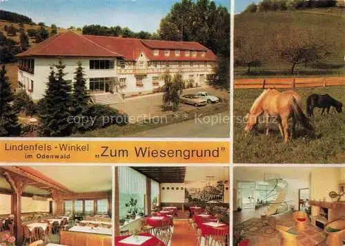AK / Ansichtskarte Winkel Lindenfels Restaurant Café Pension Gaestehaus zum Wiesengrund Pferdekoppel