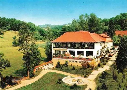 AK / Ansichtskarte Winkel Lindenfels Restaurant Café Pension zum Wiesengrund