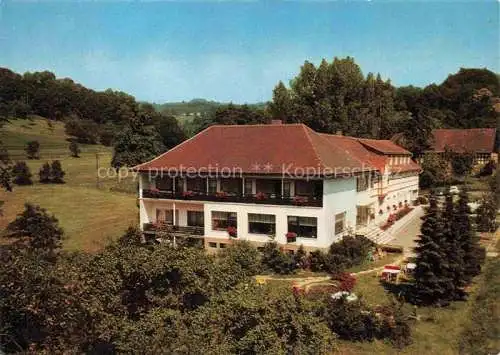 AK / Ansichtskarte Winkel Lindenfels Restaurant Café Pension zum Wiesengrund
