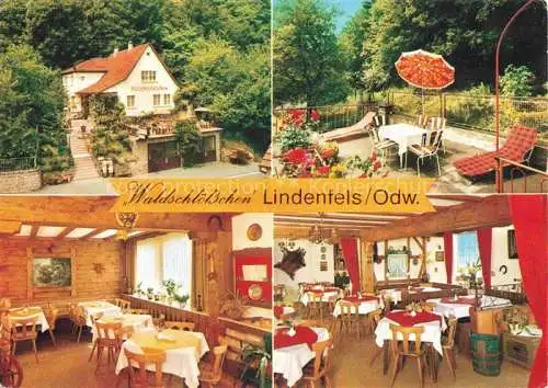 AK / Ansichtskarte Lindenfels Odenwald Restaurant Café Pension Waldschloesschen Terrasse