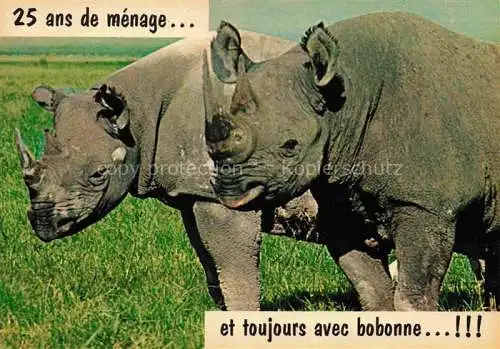 AK / Ansichtskarte Nashorn 